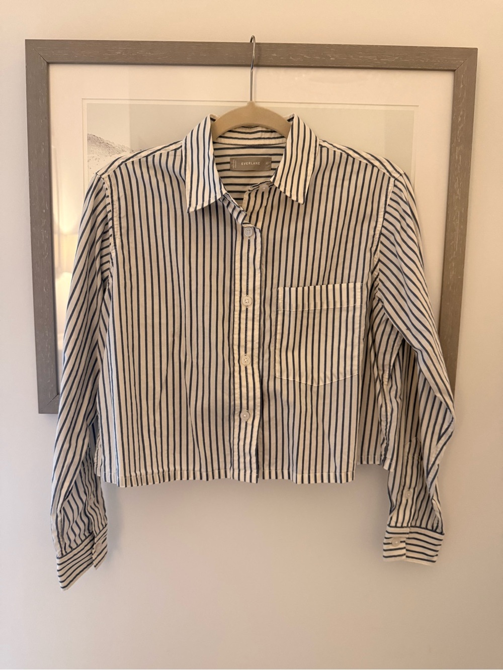 Everlane White and Navy Striped Button-Down Shirt